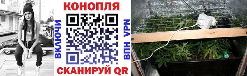 Каннабис Киров