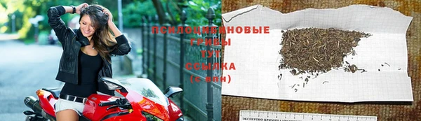 ALPHA PVP Нефтекумск