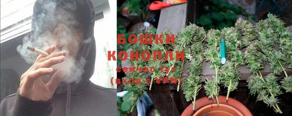 ALPHA PVP Нефтекумск