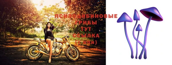ALPHA PVP Нефтекумск