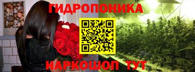 spice Жуковский