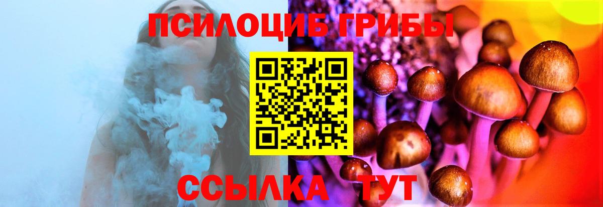 Киров  Псилоцибиновые грибы Cubensis  Вход с VPN 