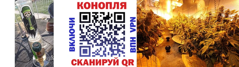Бошки Шишки сатива  Киров 